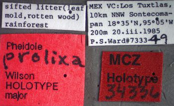 Media type: image;   Entomology 34336 Aspect: labels